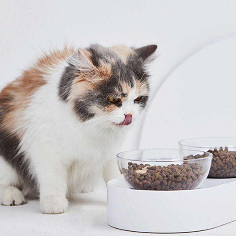 Cat Food Wholesale Factory - Supplier Wholesale Price Grain-free Dry Bulk Organic Natural Cat Food