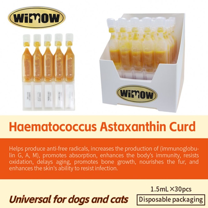 Wet Cat Food Supplier - High Quality Pet Supplies Wet Cat Food Original Natural Complete Can