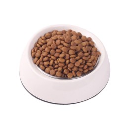 Dry Dog Food Supplier - Wholesale Bulk Dog Food Natural Raw Dry Dog Food for Pets
