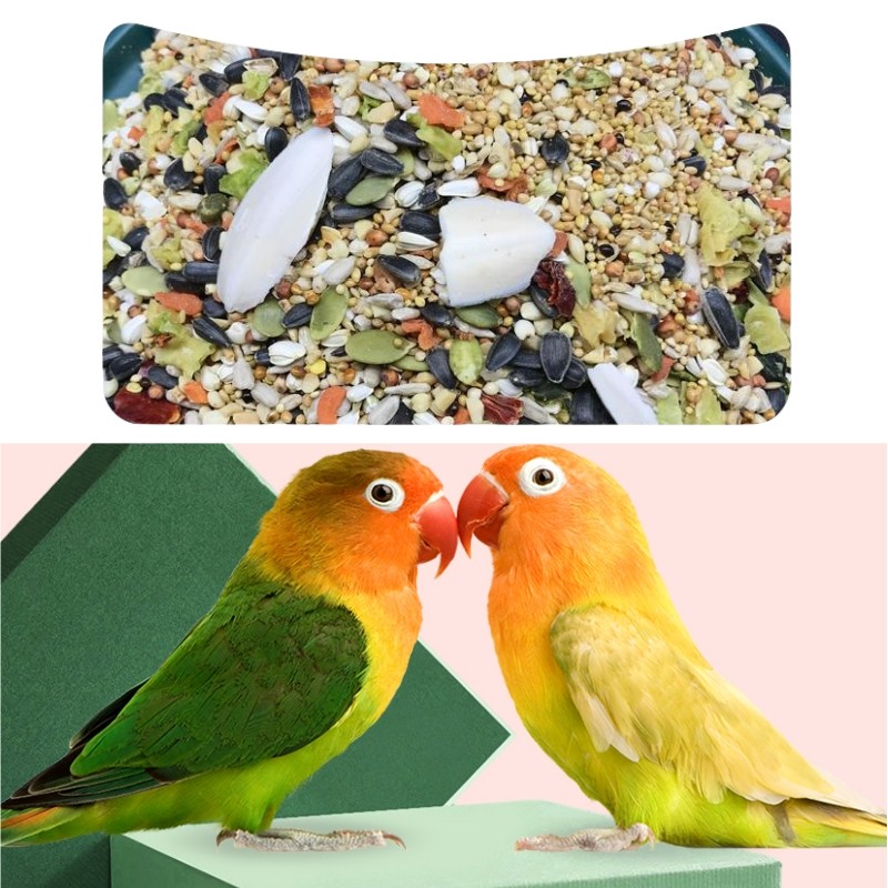 Bird Feed Factory - Wholesale Bird Parrot Food Poultry Feed Grain for Birds