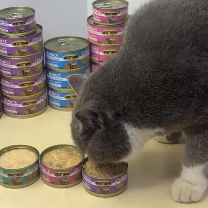 Sterilised Cat Food Manufacturer - Cat Wet Food for Sterilised Cats Single Pouch With Chicken Gravy