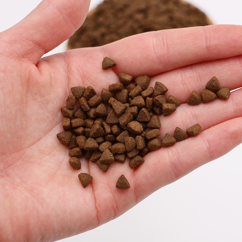 Pet Food Manufacturer - Factory Direct Price Free Sample Custom Shape Flavor Cat Snacks Freeze Dried