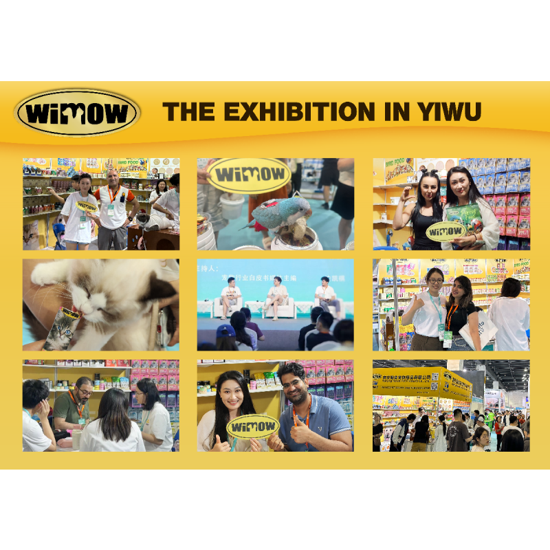 Cat Snack Manufacturer - Wimow Customized Wholesale 15g Wet Snack Various Flavors Salmon Tuna