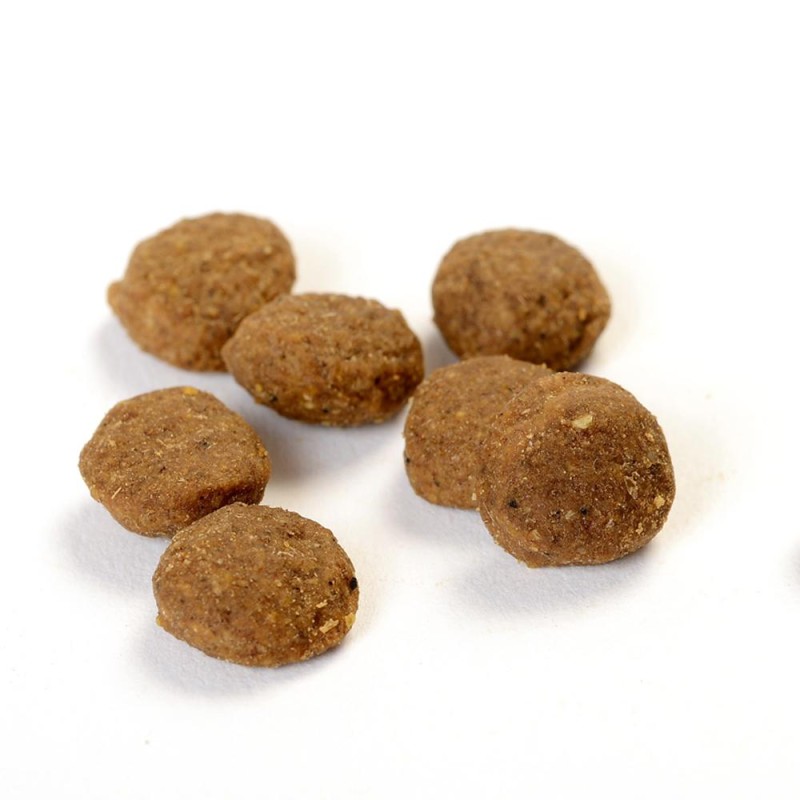 Organic Cat Food Supplier - OEM ODM Organic Cat Food High Protein Dry Bulk 3kg Original Meat