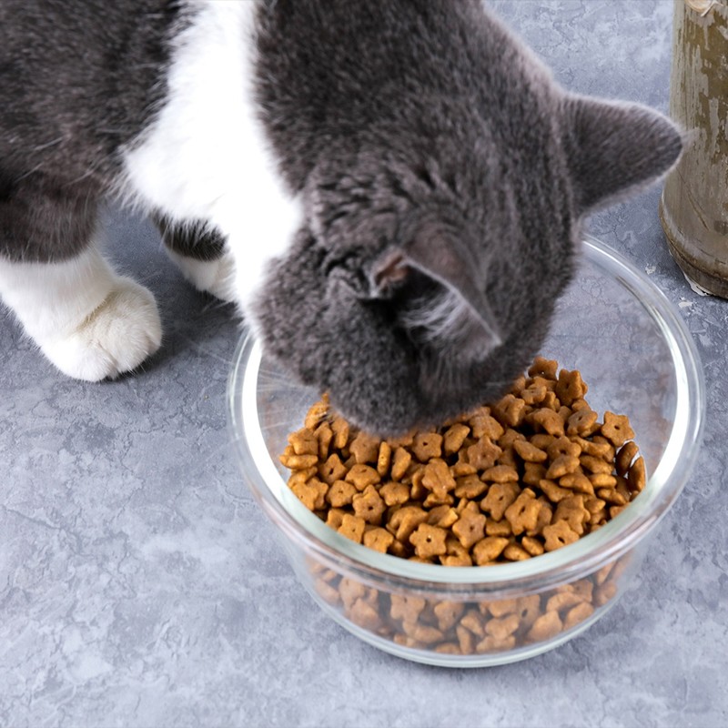 Cat Food Factory - Cat Food 100% Pure Natural Chicken Flavor Factory Direct High Quality Protein