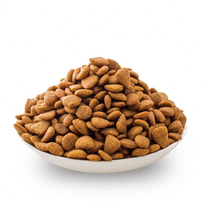 Dry Dog Food Supplier - Wholesale Bulk Dog Food Natural Raw Dry Dog Food for Pets
