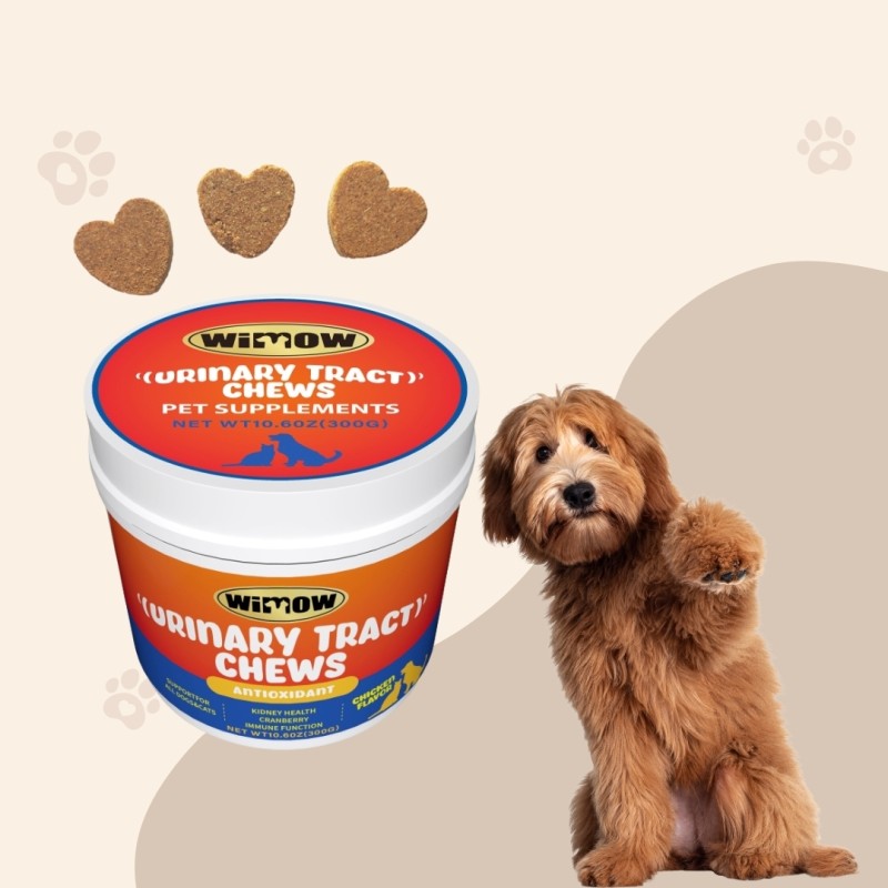 Pet Milk Factory - High Quality Nourishment Milk with Kitten Cat 300g Pet Food