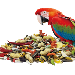 Bird Food Factory - 2Kg Wholesale Natural Mix Seed Bird Food Nutrition Health Blend Parrot