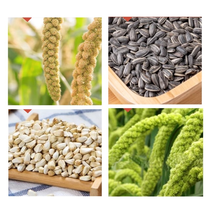 Bird Feed Factory - Wholesale Bird Parrot Food Poultry Feed Grain for Birds