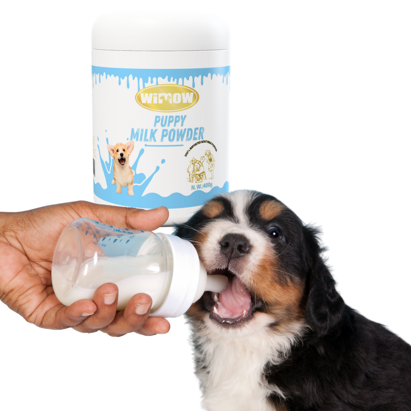 Parrot Food Factory - Natrual Organic Grains Blends Parrot Food High Protein Strengthen Bones