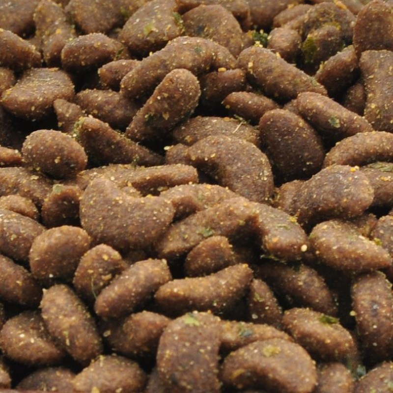 Pet Dog Food Manufacturer - Wimow Pet Dog Food 3kg Organic Nutritional Healthy Dog Food Wholesale