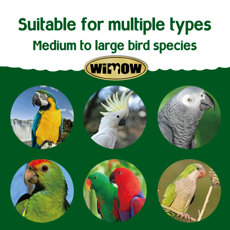 Parrot Feed Supplier - New 2kg Premium Professional Seed Medium to Large High Quality Seed Mix