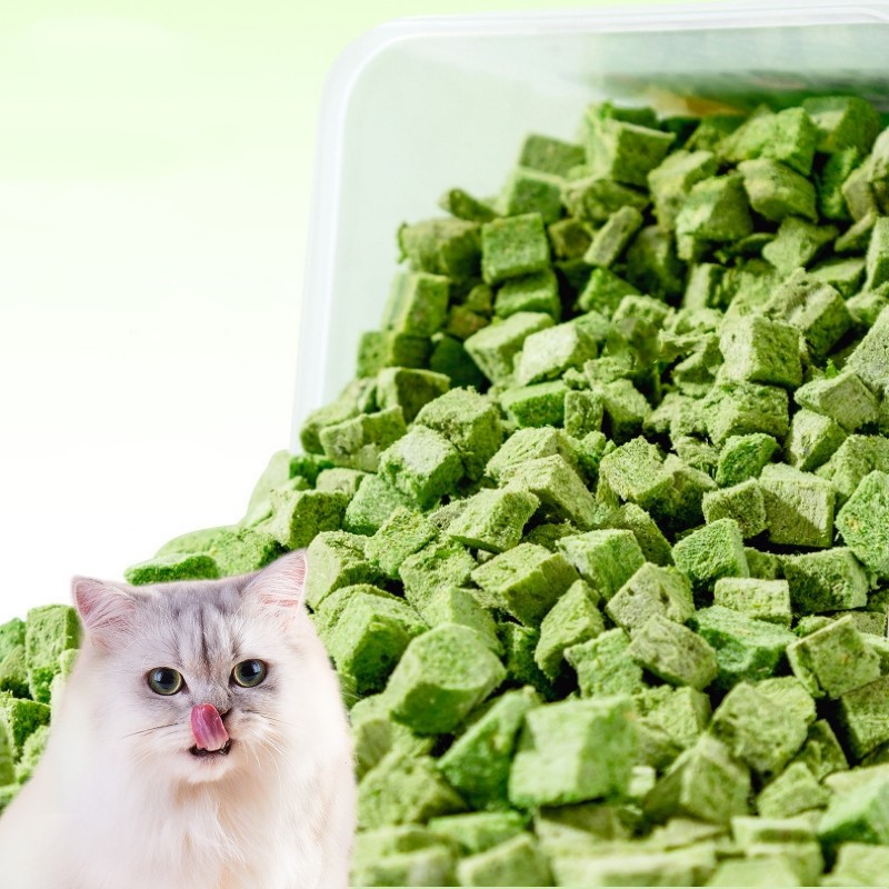 Natural Cat Food Supplier - Natural Freeze Dried Cat Food Molar Chew Snacks Natural Hair Removal
