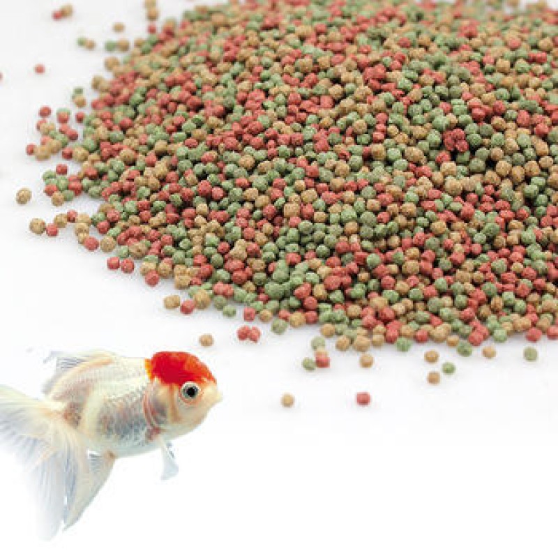 Fish Food Manufacturer - High Protein Fish Production Powder Animal Feed Additives Probiotics for Fish