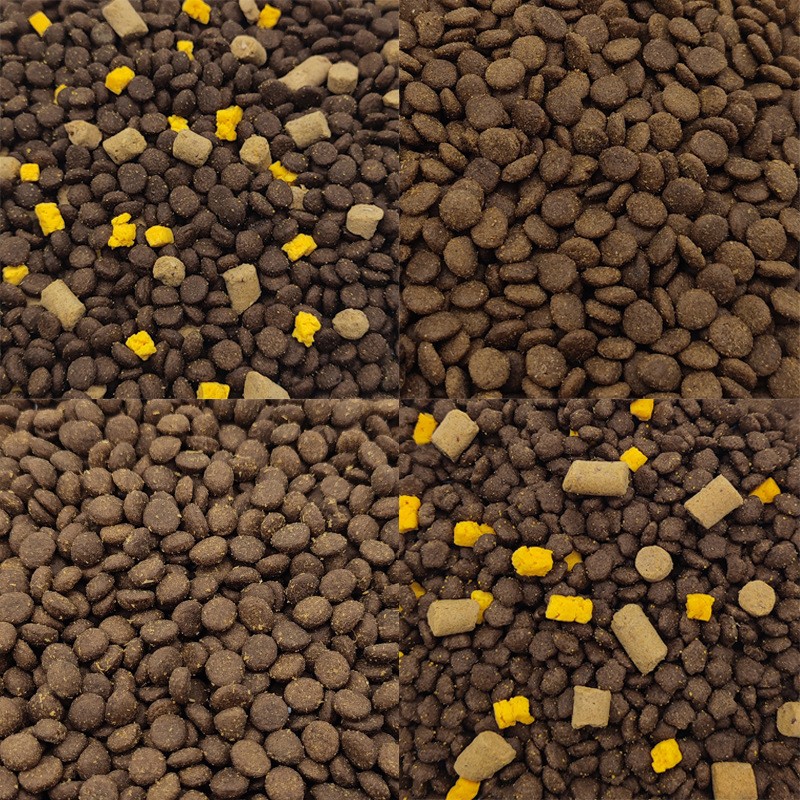 Pet Food Manufacturer - Factory Direct Price Free Sample Custom Shape Flavor Cat Snacks Freeze Dried