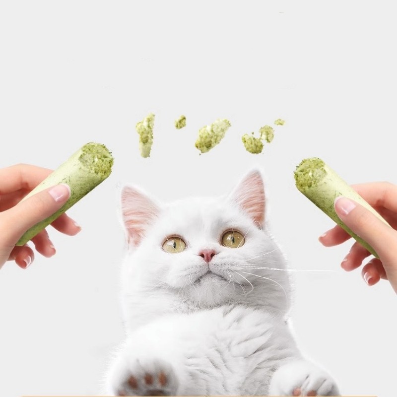 Pet Food Supplier - Low Price Free Samples Healthy Pet Food Freeze-Dry Cat Dog Treats