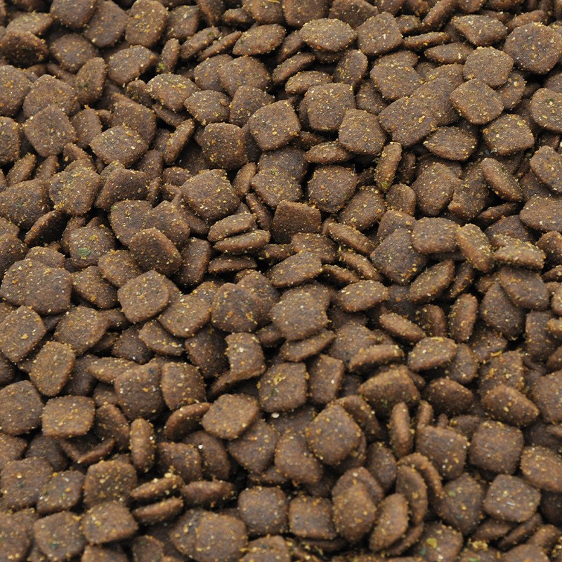 Dry Dog Food Factory - Wholesale Bulk Dog and Cat Food Natural Raw Dry Dog Food