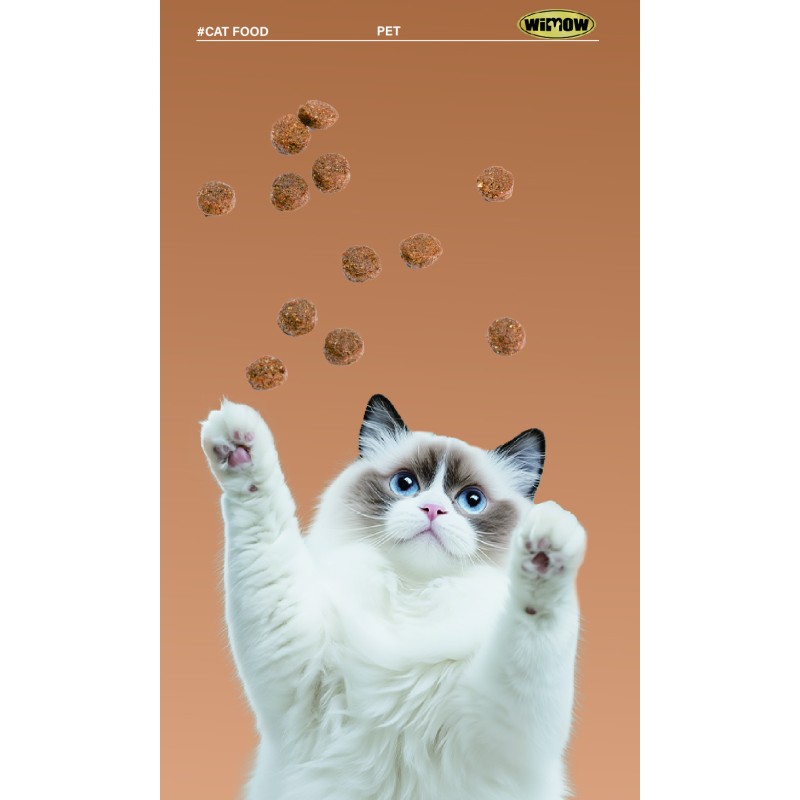 Organic Cat Food Supplier - OEM ODM Organic Cat Food High Protein Dry Bulk 3kg Original Meat