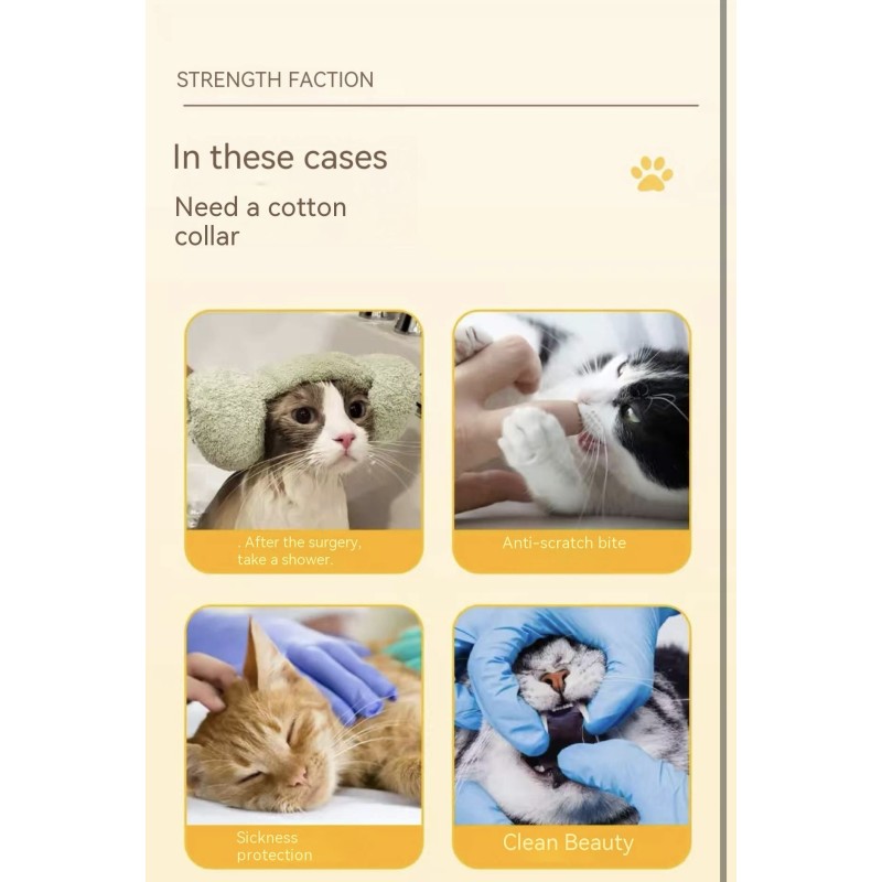 Pet Collar Manufacturer - Soft Durable Cartoon Anti Bite