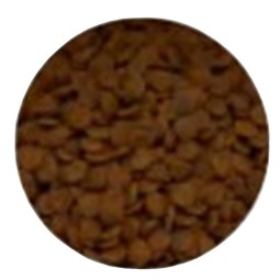 Pet Food Manufacturer - All Life Stages Gourmet