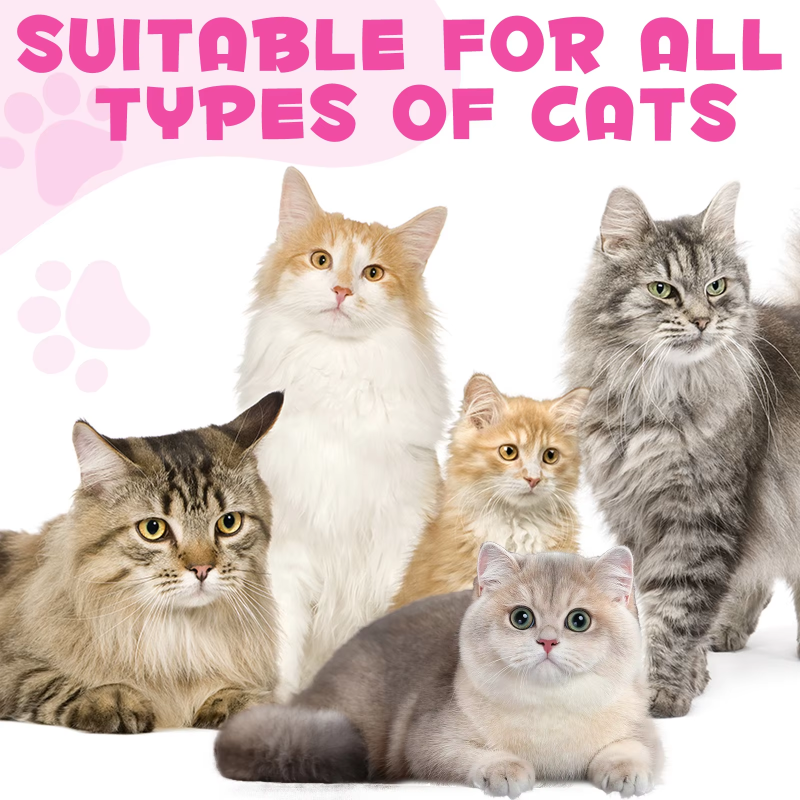 Pet Collagen Supplement Supplier - Hydrolyzed Powder