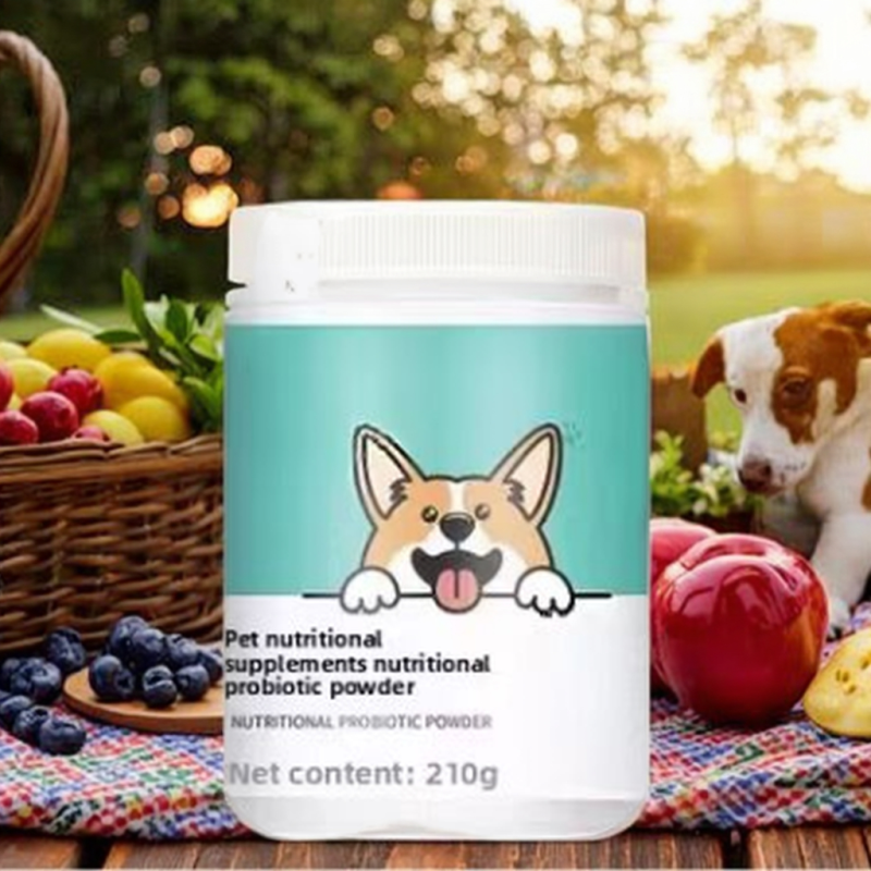 Pet Gut Care Supplier - Probiotic Digestive Health