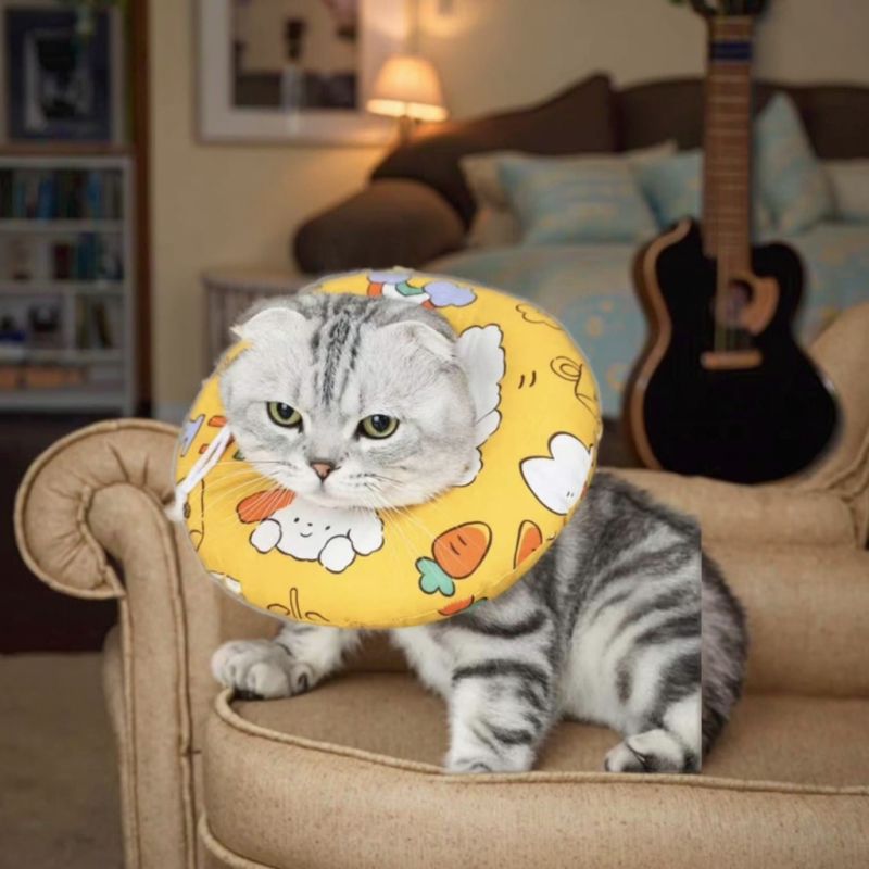 Pet Collar Manufacturer - Soft Durable Cartoon Anti Bite