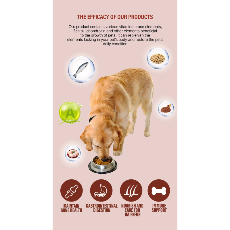 Pet Shampoo Supplier - Custom Organic Anti Bacterial