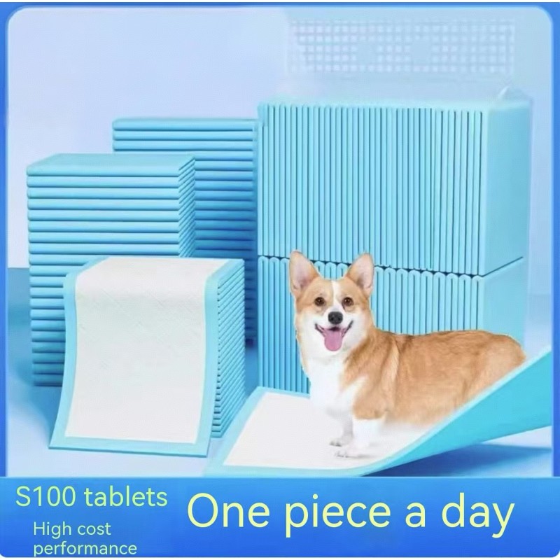 Pet Training Mat Supplier - Extra Thick Blue Disposable