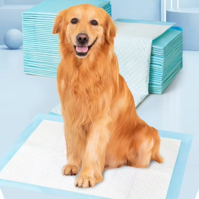 Dog Pee Pads Manufacturer - OEM Custom Logo Sizes