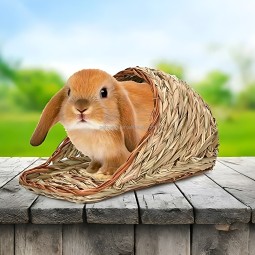 Grass House Supplier - Handcrafted Grass Woven Slippers Hideaway House for Rabbits Hamsters Guinea Pigs