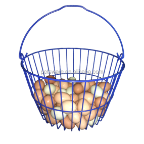 Pet Container Supplier - Portable Clear Transparent Plastic Tank Pet Containers for Reptile Aquarium