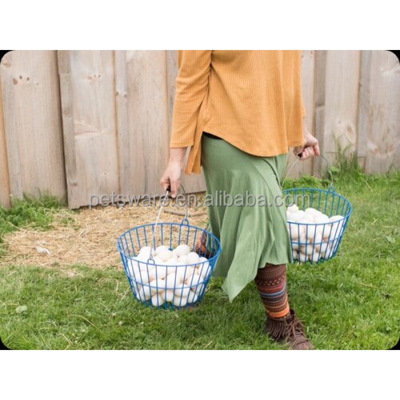 Pet Container Supplier - Portable Clear Transparent Plastic Tank Pet Containers for Reptile Aquarium