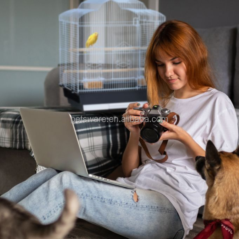 Travel Bird Cage Manufacturer - 24 Inch Fun Metal Bird Cage Cascade Roof with Perch Accessories Breathable