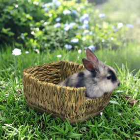 Grass Bed Supplier - Grass Mat Woven Bed for Small Animals Rabbits Ferrets Guinea Pigs Woven Bed