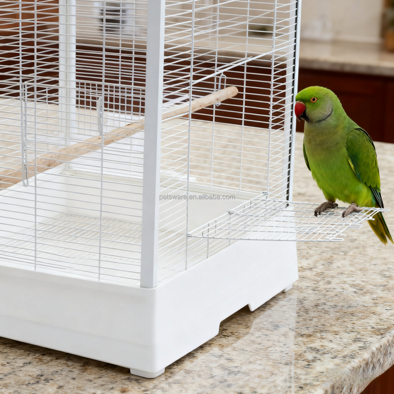 Budgie Cage Manufacturer - Fashion Design Bird Cage for Budgie Finches Canaries with Wooden Stands