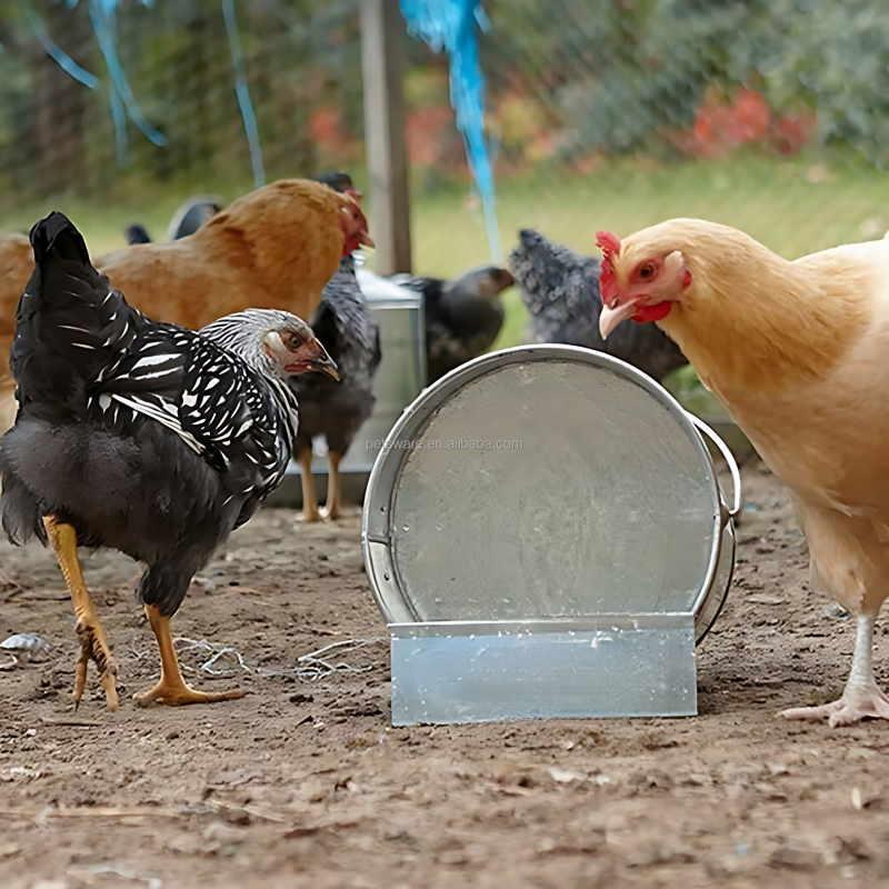 Poultry Feeder Supplier - Galvanized Chicken Corner Cage Feeder Farm Market Hanging Poultry Feeder