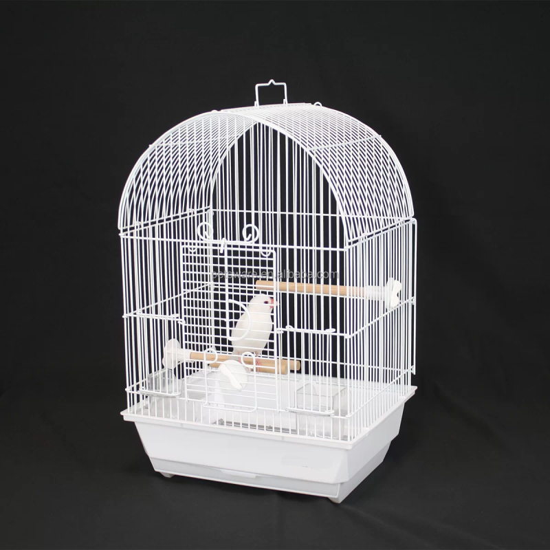 Small Bird Cage Factory - Round Top Open Small Bird Cage for Pet Birds