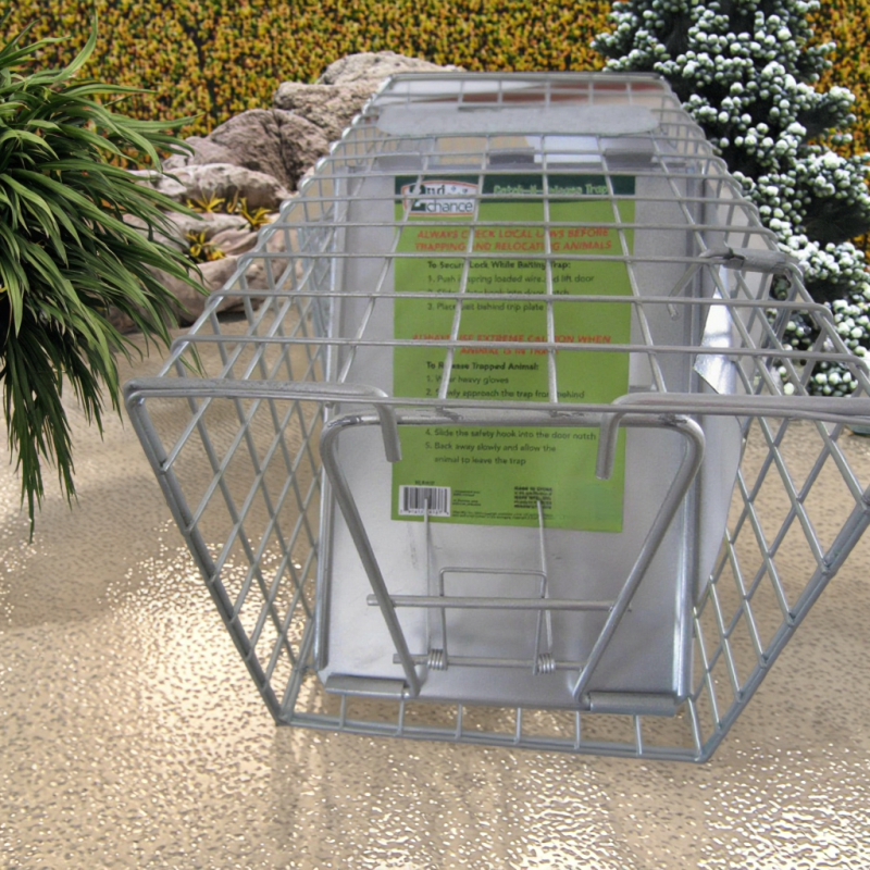 Poultry Drinker Manufacturer - High Quality Plastic Poultry Drinkers with Leg 4L 8L for Farming