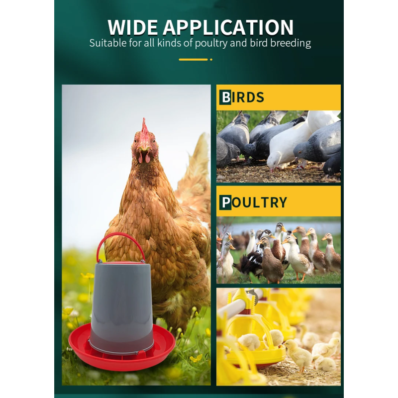 Gravity Feeder Factory - High Quality Plastic Automatic Chicken Duck Poultry Gravity Drinkers Feeders