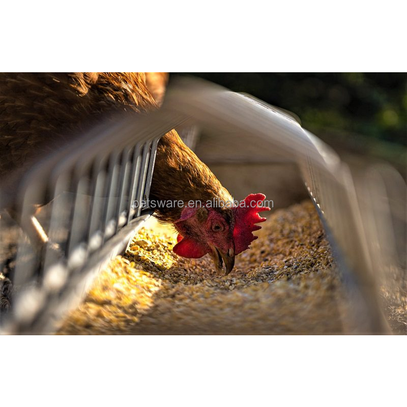 Ground Feeder Supplier - Farm Market Galvanized 12 Inch Slide Top Ground Chicken Feeder for Poultry