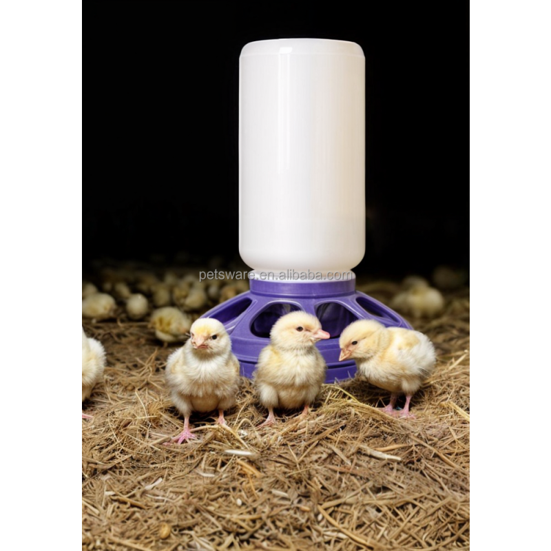 Cage Cup Factory - Galvanized Metal Cage Cups with Hooks for Bird Cages and Small Animal Habitats