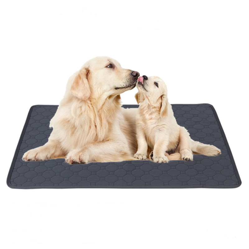 Dog Training Pads Factory - All Season Reusable Washable