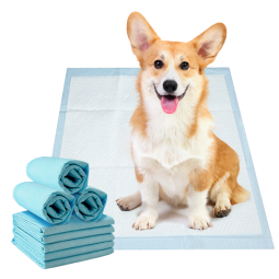 Pet Training Pads Supplier - China Wholesale Diaper