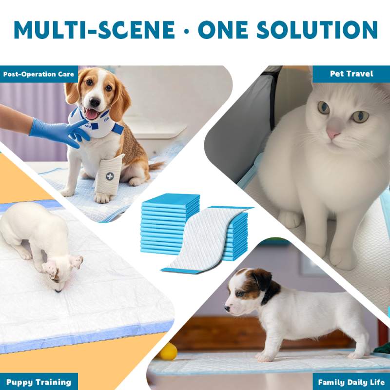 Pet Urine Pads Factory - Custom Excellent Absorption