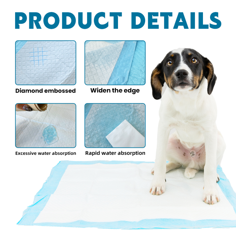 Puppy Training Mats Supplier - 6 Layer Absorbent Diapers