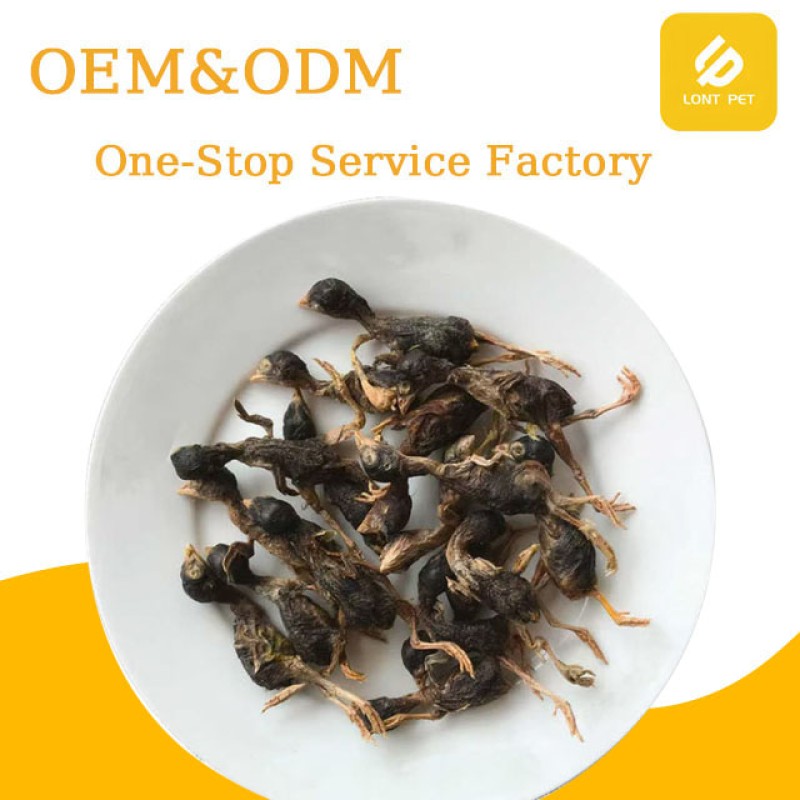 Pet Snacks Manufacturer - Wholesale Premium Freeze-Dried Quail Snacks for Cats Dogs Large Quantity