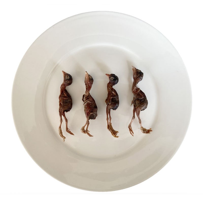 Pet Snacks Manufacturer - Wholesale Premium Freeze-Dried Quail Snacks for Cats Dogs Large Quantity