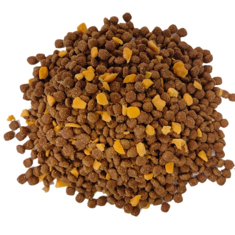 Dry Dog Food Factory - Free Sample Grain Free Muscle