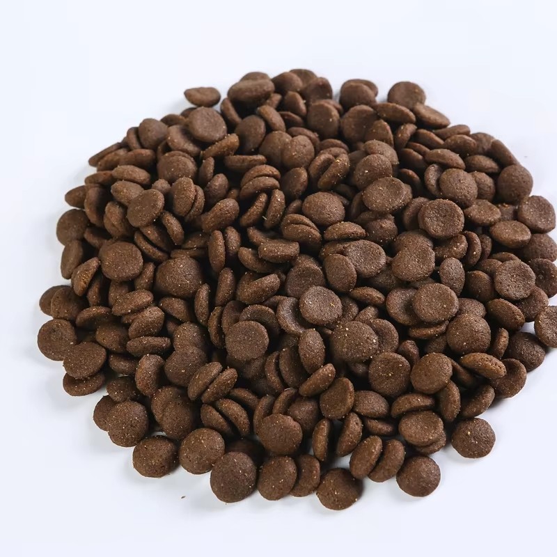 Cat Dry Food Factory - Wholesale Bulk Natural Healthy